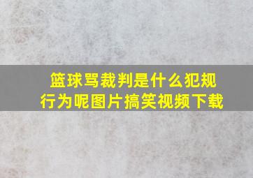 篮球骂裁判是什么犯规行为呢图片搞笑视频下载