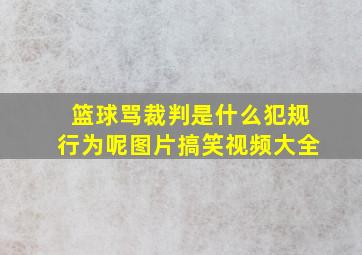 篮球骂裁判是什么犯规行为呢图片搞笑视频大全