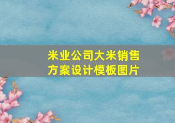 米业公司大米销售方案设计模板图片