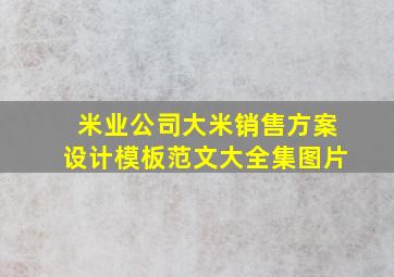 米业公司大米销售方案设计模板范文大全集图片