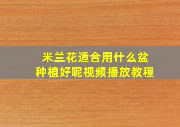 米兰花适合用什么盆种植好呢视频播放教程