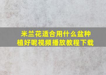 米兰花适合用什么盆种植好呢视频播放教程下载