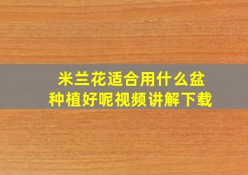 米兰花适合用什么盆种植好呢视频讲解下载