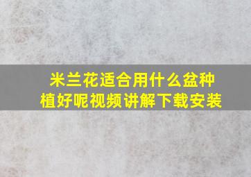 米兰花适合用什么盆种植好呢视频讲解下载安装