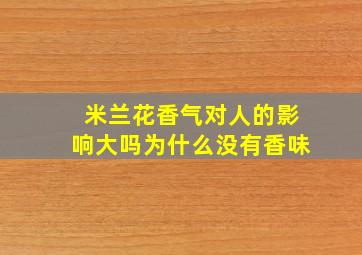 米兰花香气对人的影响大吗为什么没有香味