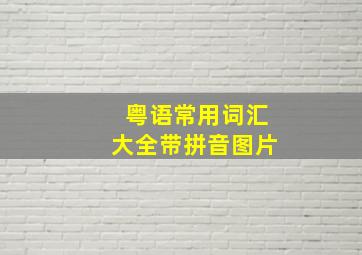 粤语常用词汇大全带拼音图片