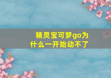 精灵宝可梦go为什么一开始动不了