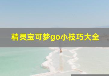 精灵宝可梦go小技巧大全