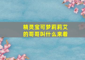 精灵宝可梦莉莉艾的哥哥叫什么来着