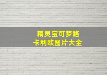 精灵宝可梦路卡利欧图片大全