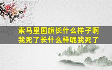 索马里国旗长什么样子啊我死了长什么样呢我死了