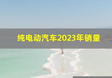 纯电动汽车2023年销量