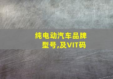 纯电动汽车品牌型号,及VIT码