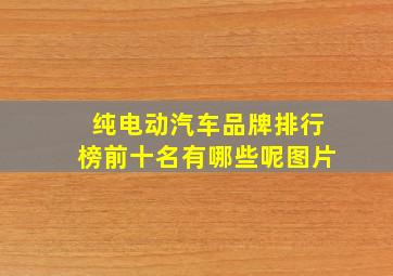 纯电动汽车品牌排行榜前十名有哪些呢图片