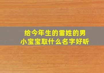 给今年生的雷姓的男小宝宝取什么名字好听