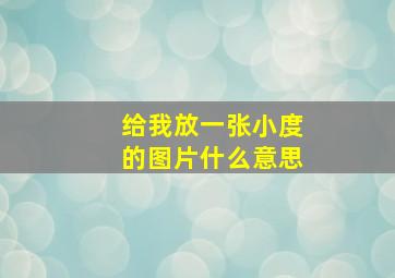 给我放一张小度的图片什么意思