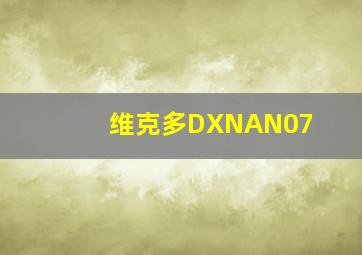 维克多DXNAN07