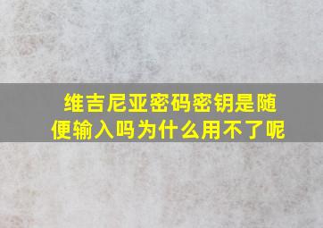 维吉尼亚密码密钥是随便输入吗为什么用不了呢