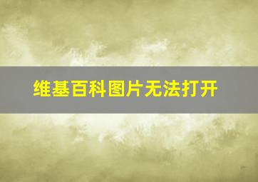 维基百科图片无法打开