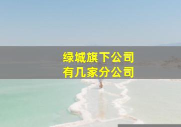 绿城旗下公司有几家分公司