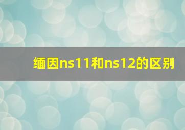 缅因ns11和ns12的区别