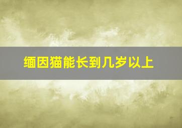 缅因猫能长到几岁以上