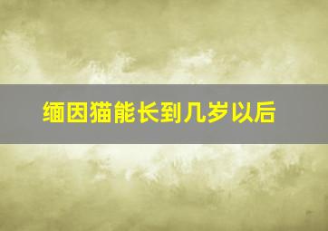 缅因猫能长到几岁以后