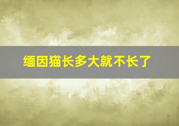 缅因猫长多大就不长了