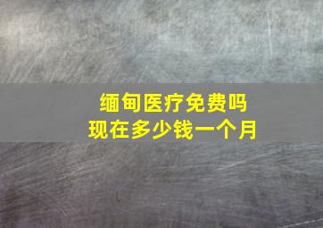 缅甸医疗免费吗现在多少钱一个月