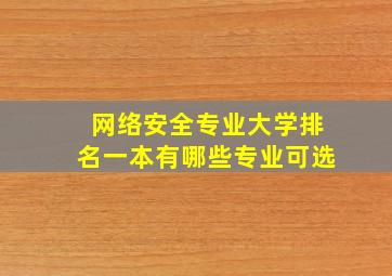 网络安全专业大学排名一本有哪些专业可选