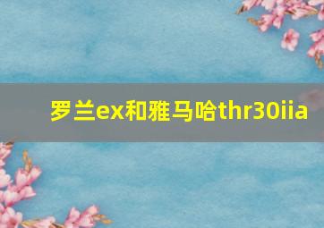 罗兰ex和雅马哈thr30iia