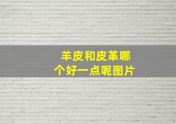 羊皮和皮革哪个好一点呢图片