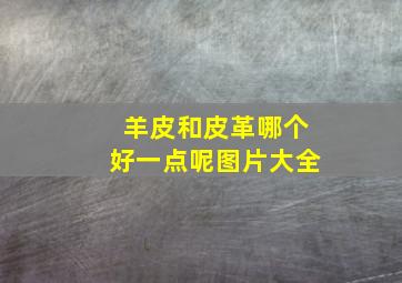 羊皮和皮革哪个好一点呢图片大全