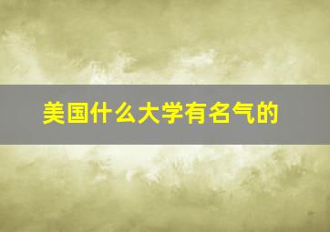 美国什么大学有名气的