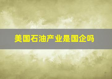 美国石油产业是国企吗