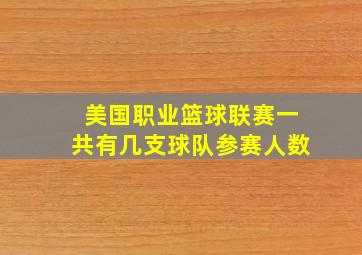 美国职业篮球联赛一共有几支球队参赛人数