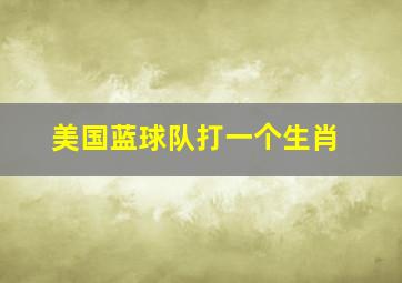 美国蓝球队打一个生肖