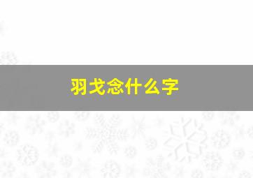 羽戈念什么字