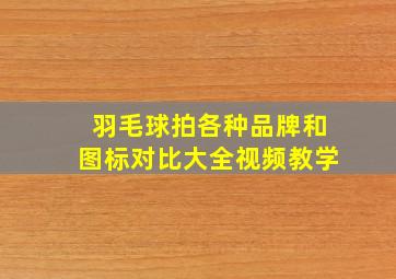 羽毛球拍各种品牌和图标对比大全视频教学