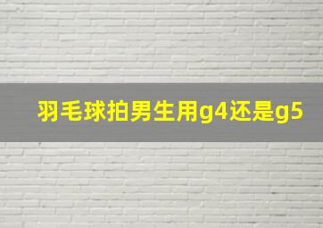 羽毛球拍男生用g4还是g5