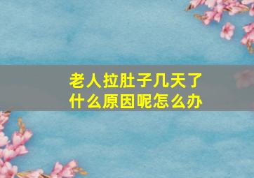 老人拉肚子几天了什么原因呢怎么办