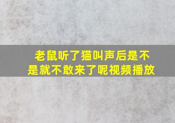 老鼠听了猫叫声后是不是就不敢来了呢视频播放