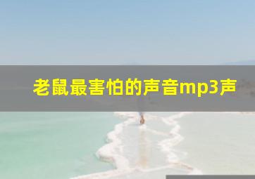 老鼠最害怕的声音mp3声