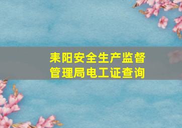 耒阳安全生产监督管理局电工证查询