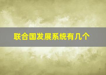 联合国发展系统有几个