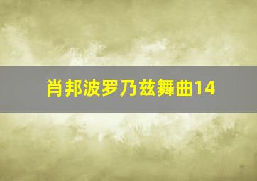 肖邦波罗乃兹舞曲14