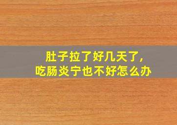 肚子拉了好几天了,吃肠炎宁也不好怎么办