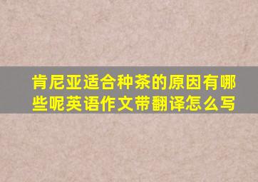 肯尼亚适合种茶的原因有哪些呢英语作文带翻译怎么写