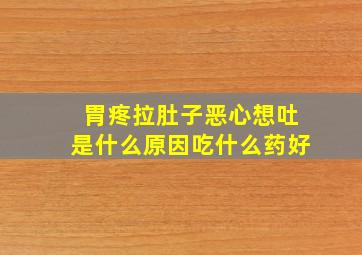 胃疼拉肚子恶心想吐是什么原因吃什么药好