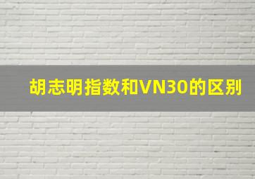 胡志明指数和VN30的区别